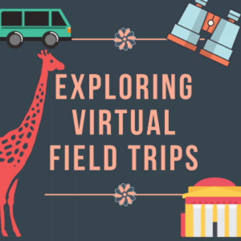Virtual Field Trips