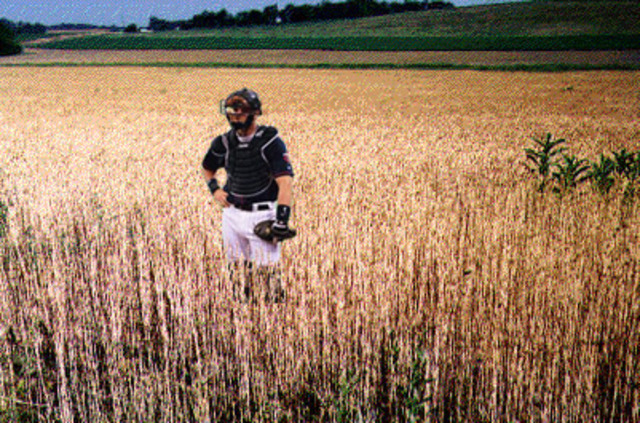 The Catcher in the Rye-- by J.D. Salinger