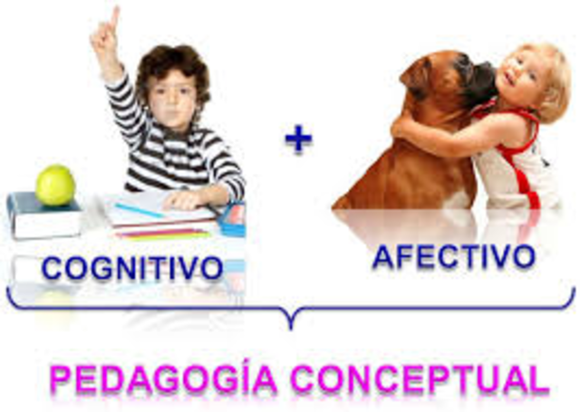PEDAGOGÍA CONCEPTUAL.