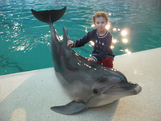 дельфинарий в Питере