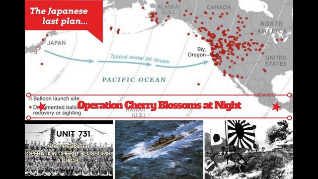 Operation Cherry Blossoms At Night