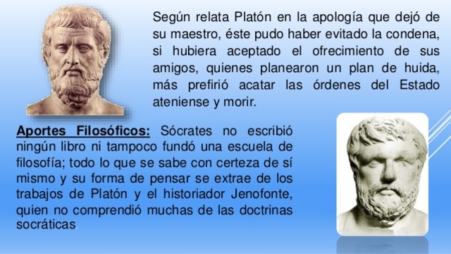 Cicuta de socrates