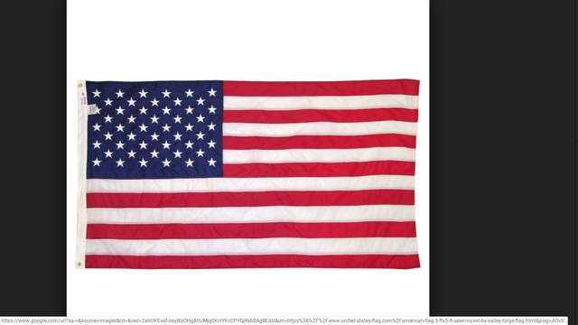 America chose a flag