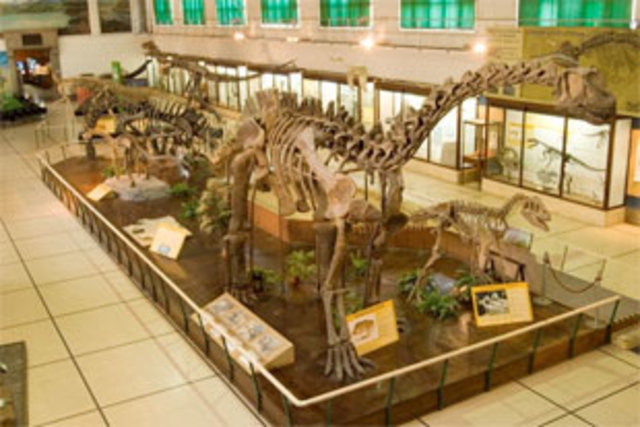 El Museo de Ciencias Naturales.