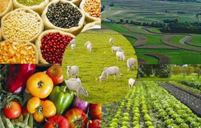 Segundo Censo Agropecuario