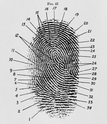 Fingerprint Idetification Becomes More Common