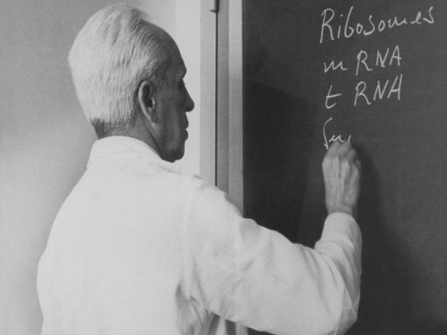 Síntesis del ácido ribonucleico, ARN