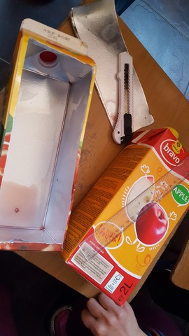 Creating deferent flowerbeds for the seeds