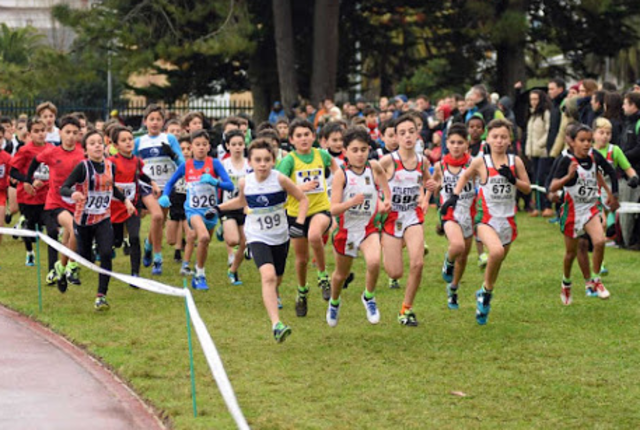 Primer Cross Country