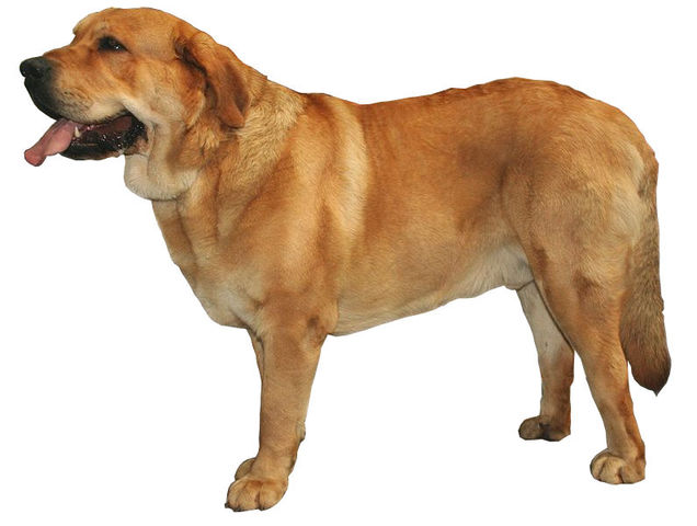 La veritat d'en Fílax