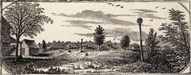 The Battle of Rocky Mount