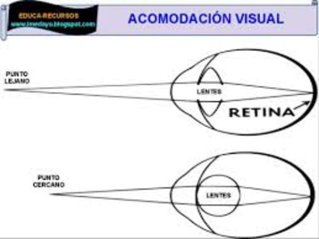Acomodación visual