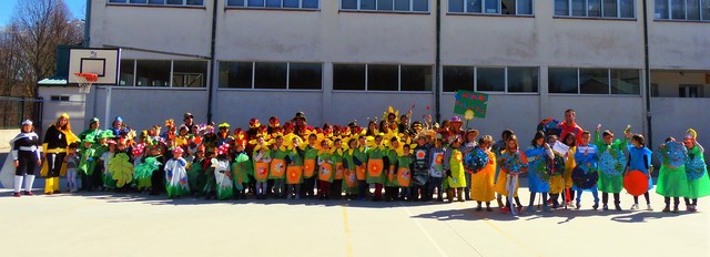 Carnaval Medioambiental.