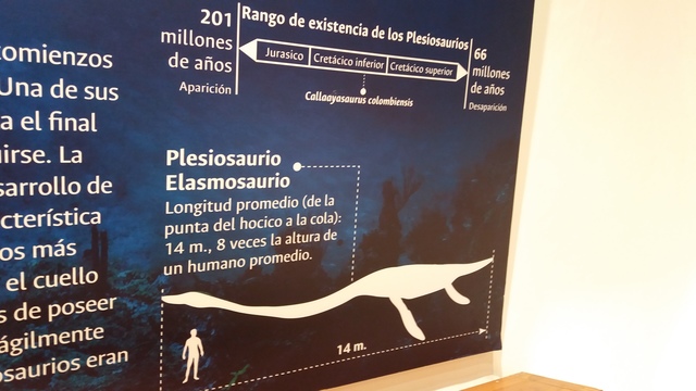 Plesiosaurio