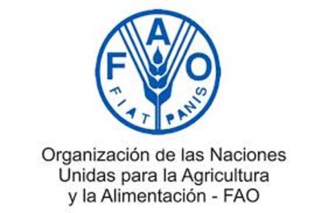 ORGANIZACIÓN DE LAS NACIONES UNIDAS PARA LA AGRICULTURA Y LA ALIMENTACIÓN (FAO)