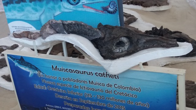 Ictiosaurio