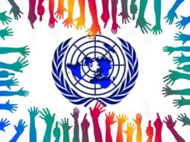 ORGANISMOS DE LAS NACIONES UNIDAS