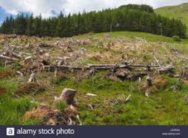 DESAFÍOS AMBIENTALES