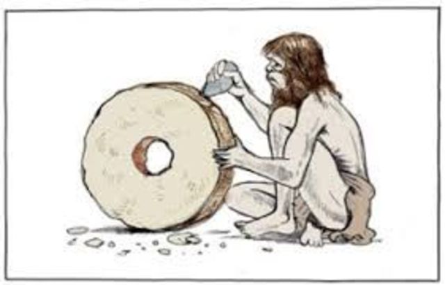 TRANSPORTE SOBRE RODILLOS