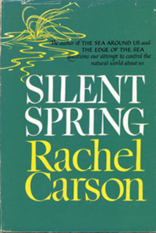 la aparición de las metrópoli y los problemas ambientales