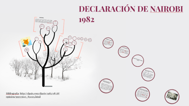 Declaración de Nairobi.