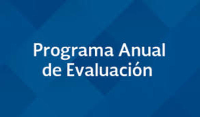 Programa Anual de Evaluación (2008)