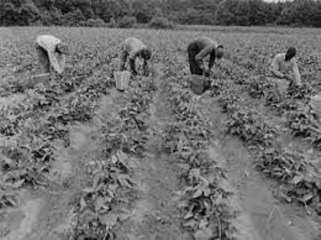 1945 PLAN DE FOMENTO AGRICOLA