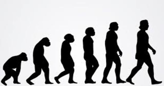 Borrador de La Teoría de la evolución