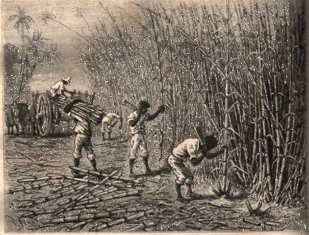 Explotación económica