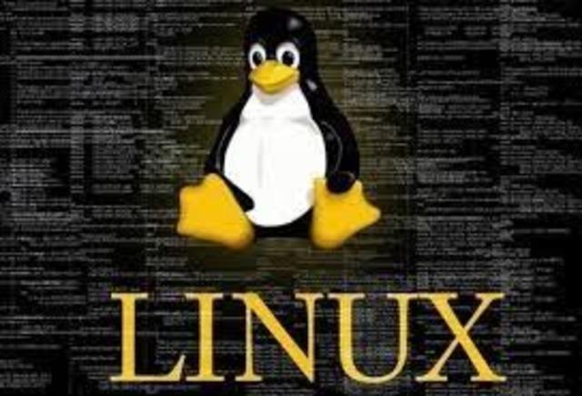 Lenguaje De Programación Núcleo Linux