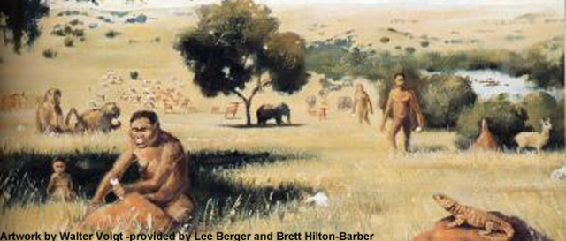 Hominids diverge from chimpanzees