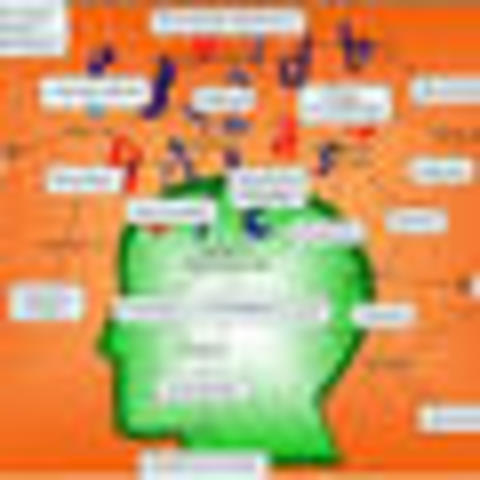 ¿Qué es la Teoría del Aprendizaje Significativo?