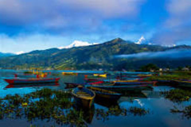 22 people affected in a single day in a Rural Area