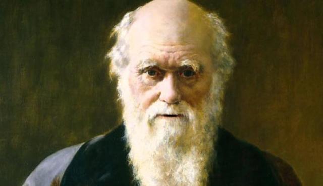 DARWIN