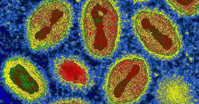 Erradicación de la viruela.
