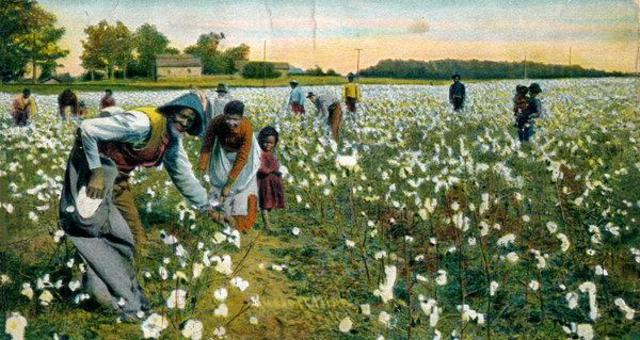 Cotton gin increases slavery