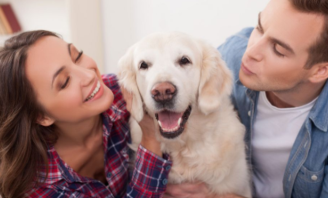 Parents first pet together    5BB