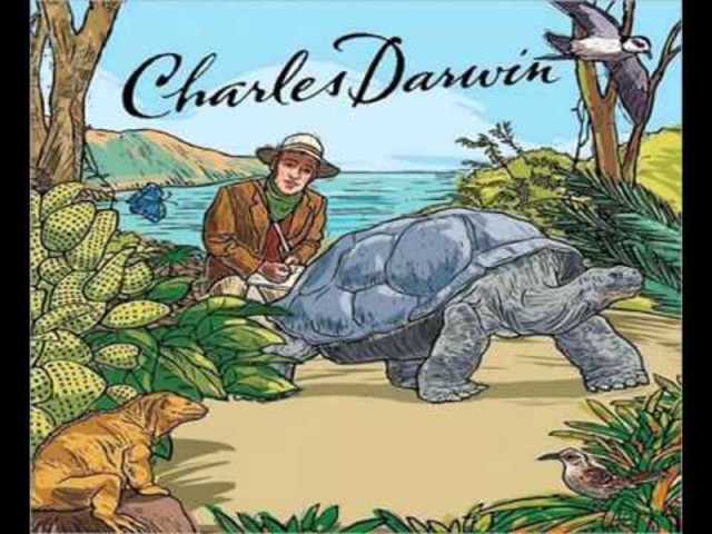 En la selva de Brasil