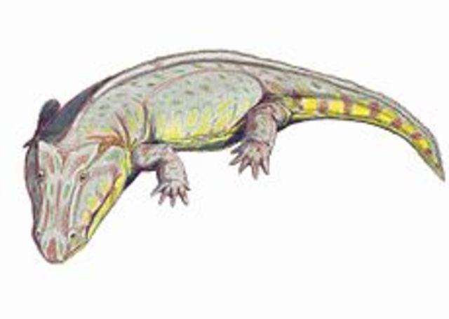 First pedal animal on the surface of the earth, 340 million years ago.