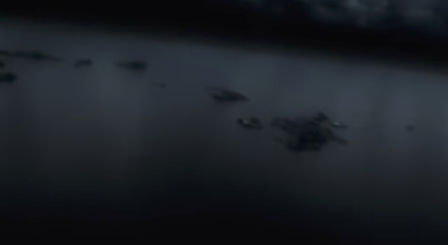 Volcanos and islands begin appearing out of the water 3.8 billion years ago