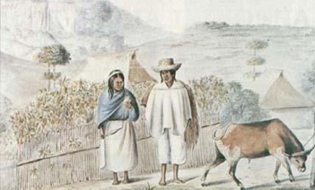 Política de desamortizacion en las comunidades indígenas