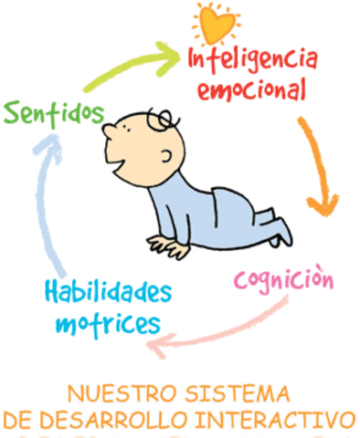 Jean Piaget (Suiza, 1890 -1980)