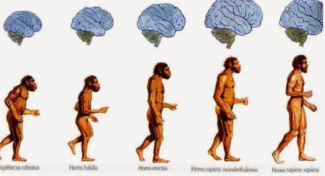 Inicio de la evolución