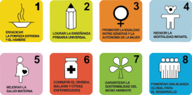 Cumbre del Milenio "Metas del Milenio"