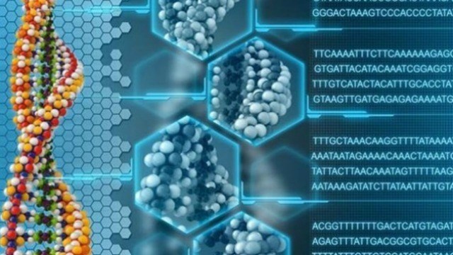 ALMACENAMIENTO DE DATOS EN EL ADN