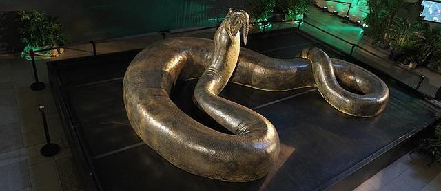 Titanoboa