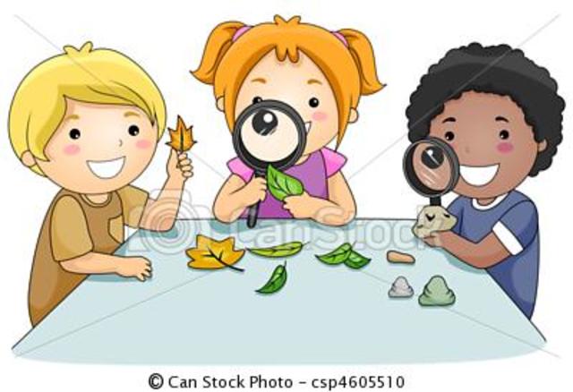 Actitud de la Escuela Nueva respecto al niño