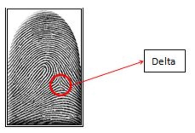 Descrubrimiento del DELTA