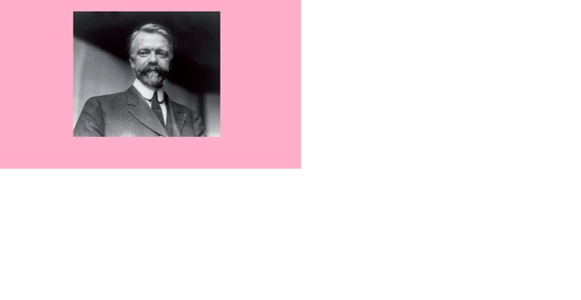 Teoría funcional (Henri Fayol)