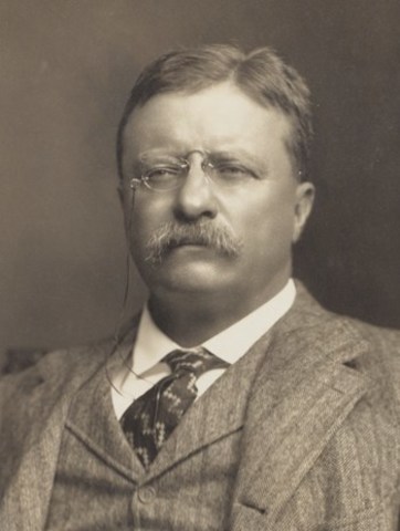 Theodore Roosevelt's U.S. Presidency.
